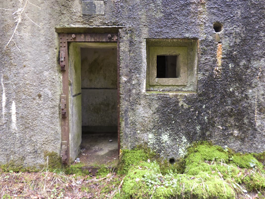 Ligne Maginot - B766 - CARREFOUR DE BLOIS - (Blockhaus pour canon) -  - JMBrams