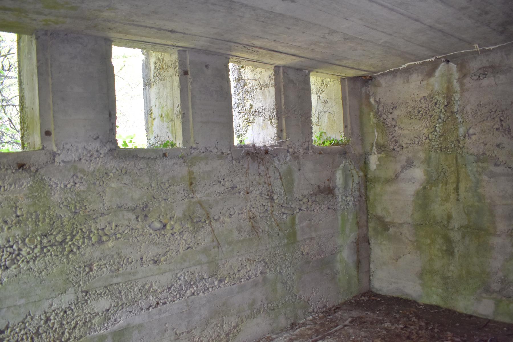 Ligne Maginot - BOIS DE DESSENHEIM SUD-OUEST 6 - (PC) - Fenêtre de la salle sud  - Daniel Froehly