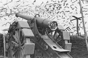 Ligne Maginot - S2 - (Position d'artillerie préparée) - Une des pièces de 120 L de Bange