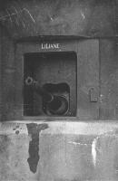 Ligne Maginot - HOCHWALD - (Ouvrage d'artillerie) - Bloc 12
Casemate d'artillerie
Canons de 75 modèle 29
L'embrasure de la pièce de droite  nommée Liliane