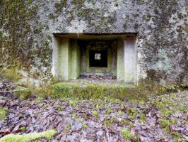 Ligne Maginot - B767 - MAISON FORESTIERE DE LA FOLIE - (Blockhaus pour canon) - 