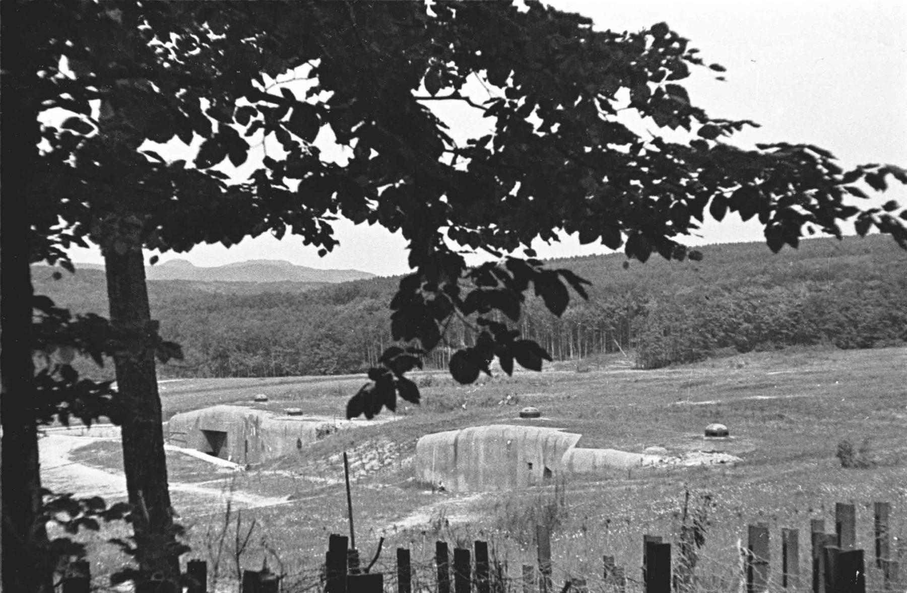 Ligne Maginot - HOCHWALD - (Ouvrage d'artillerie) - Les dessus du demi ouvrage Ouest
Les blocs 12 et 13 - Albert HAAS