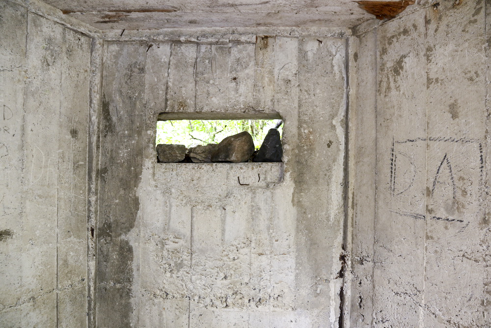 Ligne Maginot - PRELLES - LES ANDRIEUX - (Blockhaus pour arme infanterie) -  - Alain Perouffe