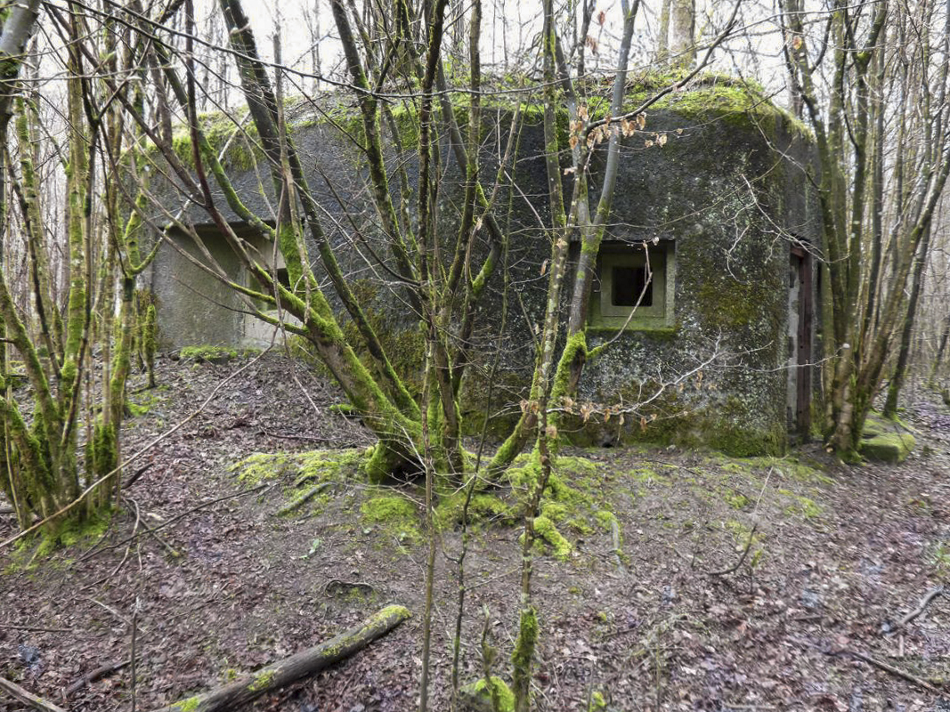 Ligne Maginot - B767 - MAISON FORESTIERE DE LA FOLIE - (Blockhaus pour canon) -  - JMBrams