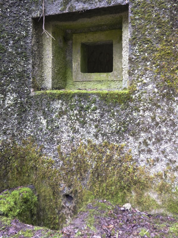 Ligne Maginot - B767 - MAISON FORESTIERE DE LA FOLIE - (Blockhaus pour canon) -  - JMBrams