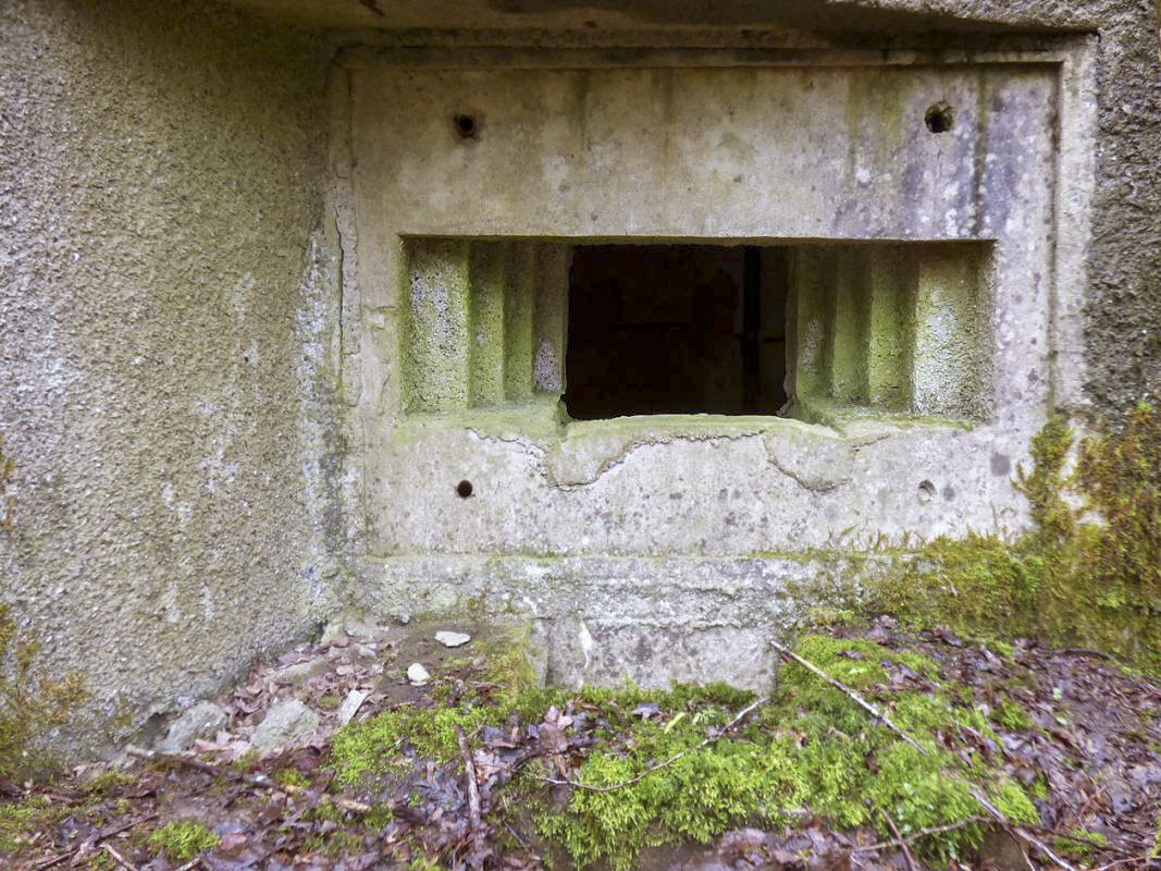 Ligne Maginot - B767 - MAISON FORESTIERE DE LA FOLIE - (Blockhaus pour canon) -  - JMBrams
