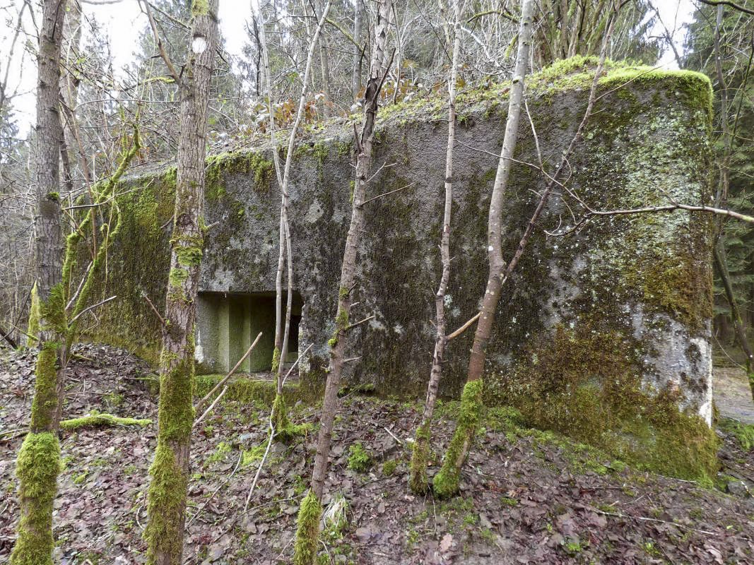 Ligne Maginot - B767 - MAISON FORESTIERE DE LA FOLIE - (Blockhaus pour canon) -  - JMBrams