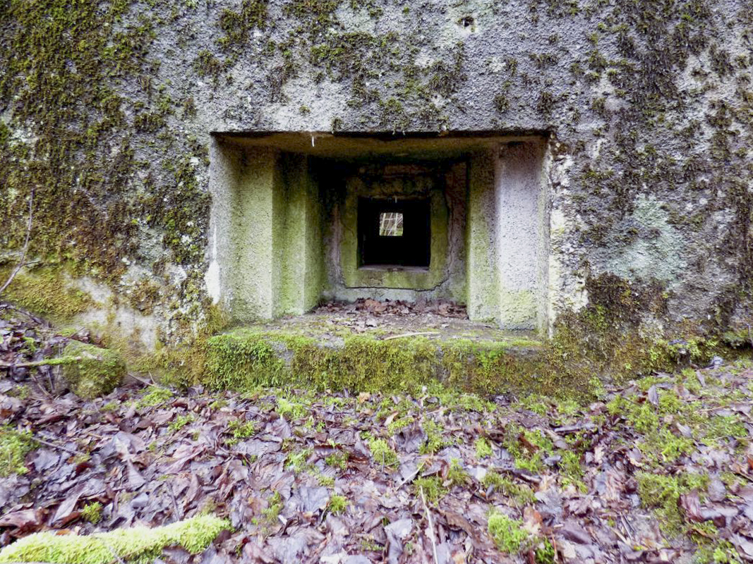 Ligne Maginot - B767 - MAISON FORESTIERE DE LA FOLIE - (Blockhaus pour canon) -  - JMBrams