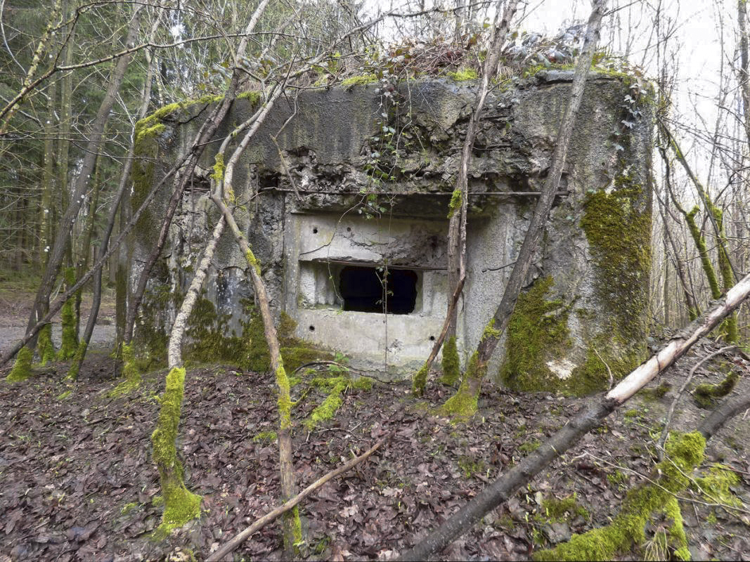 Ligne Maginot - B767 - MAISON FORESTIERE DE LA FOLIE - (Blockhaus pour canon) -  - JMBrams