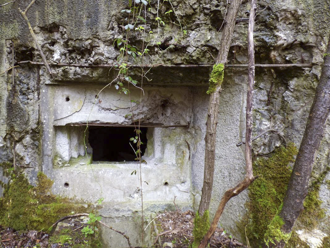 Ligne Maginot - B767 - MAISON FORESTIERE DE LA FOLIE - (Blockhaus pour canon) -  - JMBrams