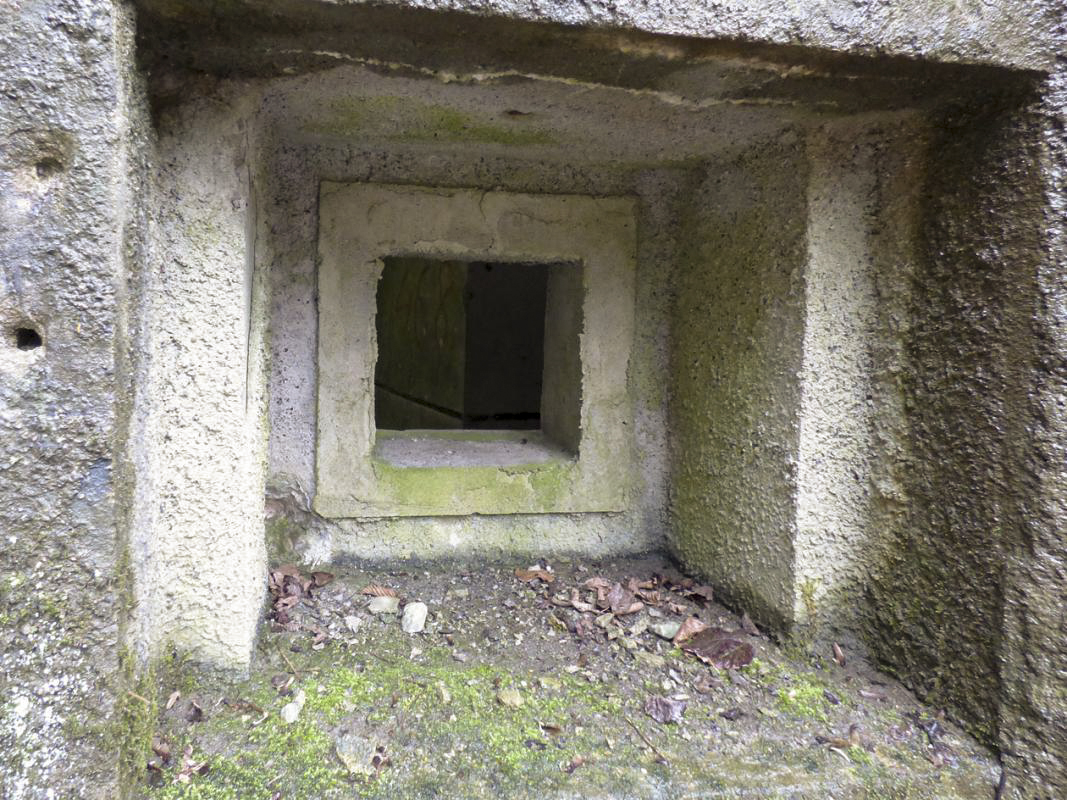 Ligne Maginot - B767 - MAISON FORESTIERE DE LA FOLIE - (Blockhaus pour canon) -  - JMBrams