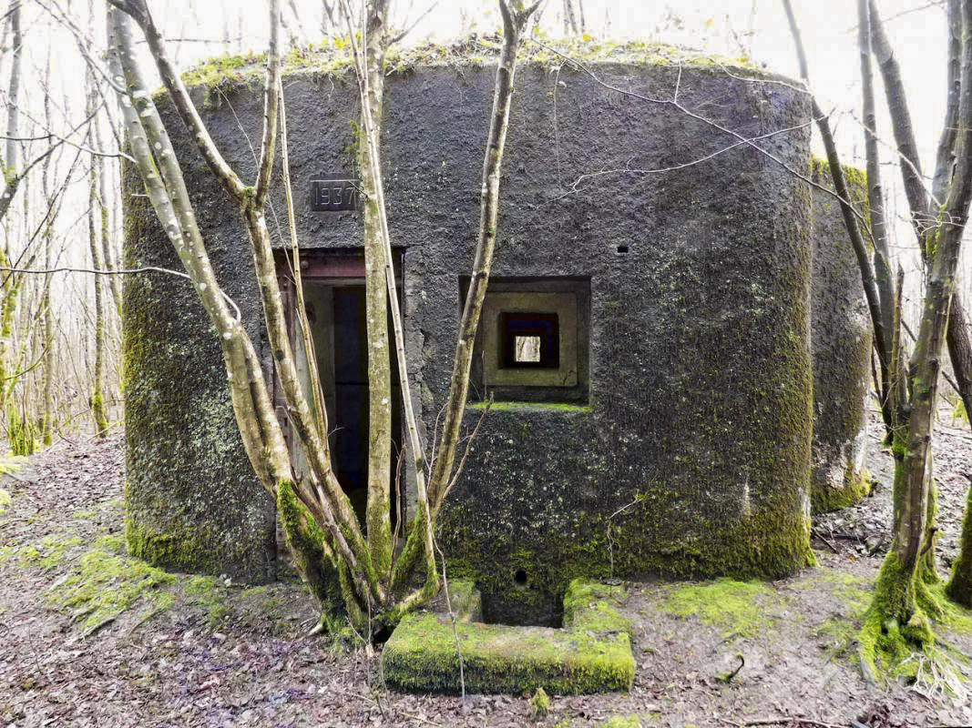 Ligne Maginot - B767 - MAISON FORESTIERE DE LA FOLIE - (Blockhaus pour canon) -  - JMBrams