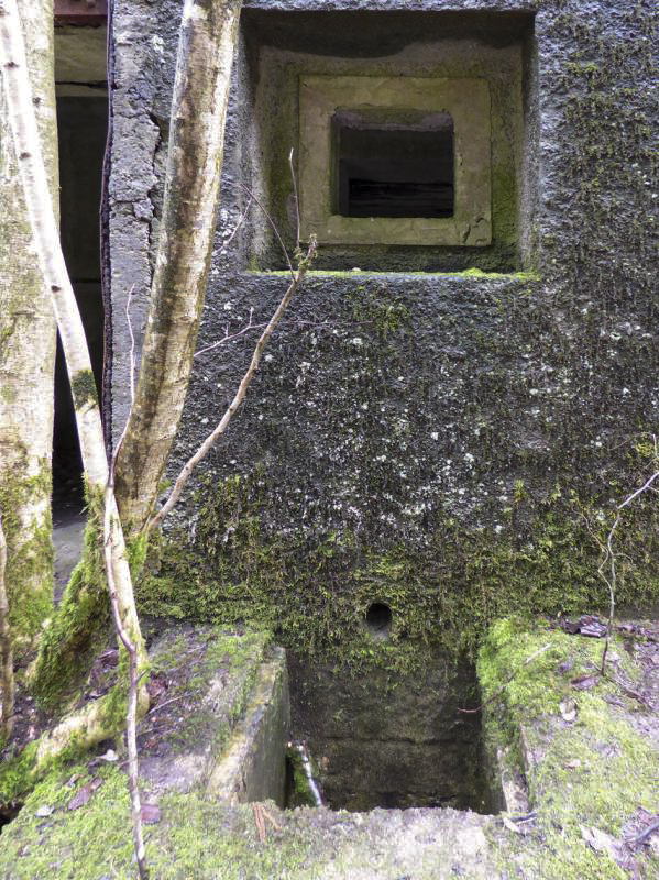 Ligne Maginot - B767 - MAISON FORESTIERE DE LA FOLIE - (Blockhaus pour canon) -  - JMBrams
