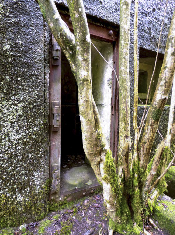 Ligne Maginot - B767 - MAISON FORESTIERE DE LA FOLIE - (Blockhaus pour canon) -  - JMBrams