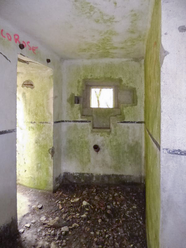 Ligne Maginot - B767 - MAISON FORESTIERE DE LA FOLIE - (Blockhaus pour canon) -  - JMBrams