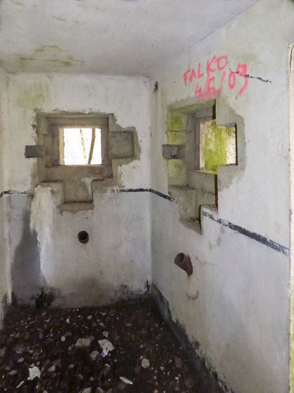 Ligne Maginot - B767 - MAISON FORESTIERE DE LA FOLIE - (Blockhaus pour canon) -  - JMBrams