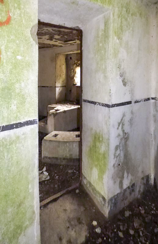 Ligne Maginot - B767 - MAISON FORESTIERE DE LA FOLIE - (Blockhaus pour canon) -  - JMBrams
