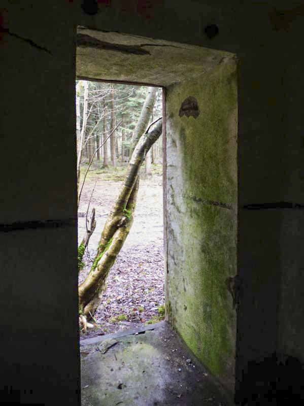 Ligne Maginot - B767 - MAISON FORESTIERE DE LA FOLIE - (Blockhaus pour canon) -  - JMBrams