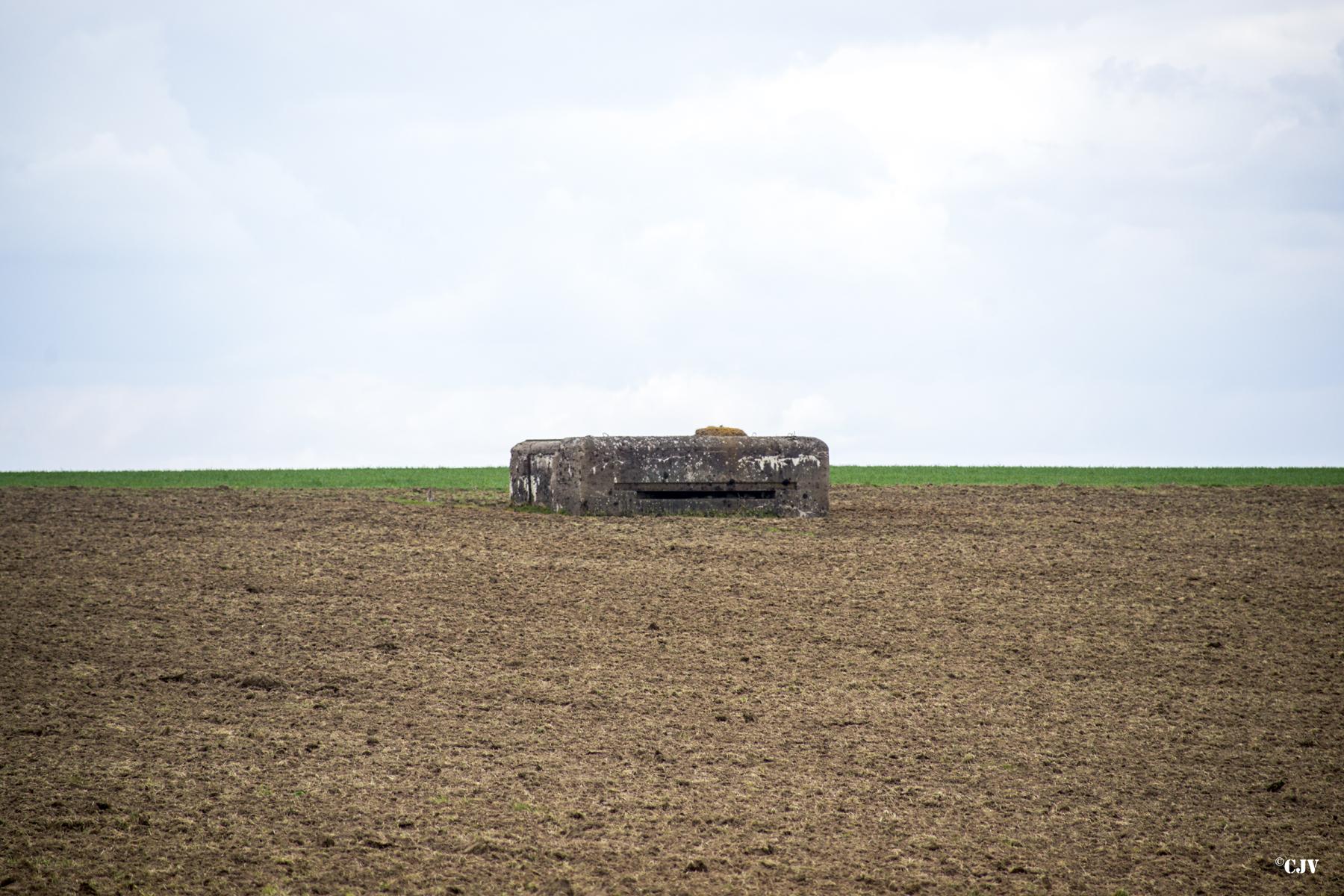Ligne Maginot - B781 - FERME BEAULIEU - (Observatoire d'infanterie) -  - Lia VERMEULEN