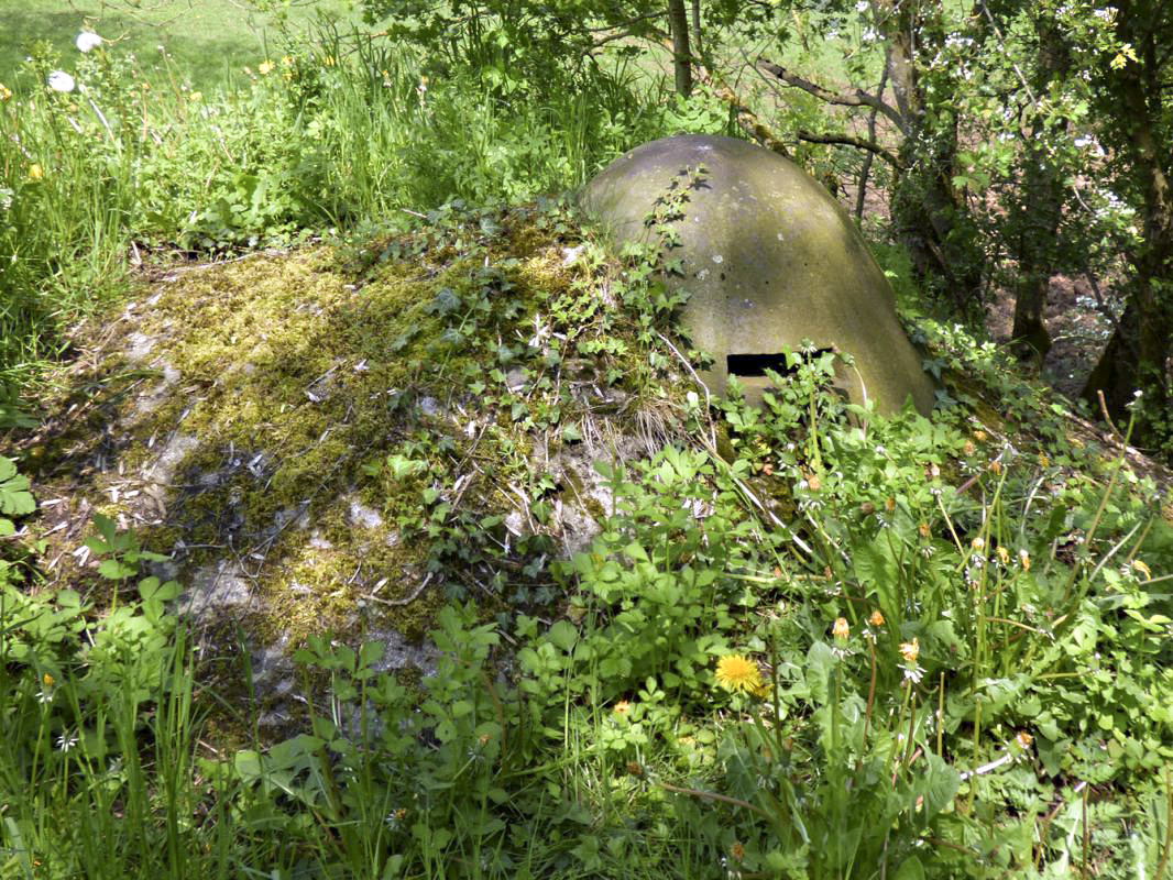 Ligne Maginot - B789 - LA MARLIERE - (Blockhaus pour canon) -  - JMBrams