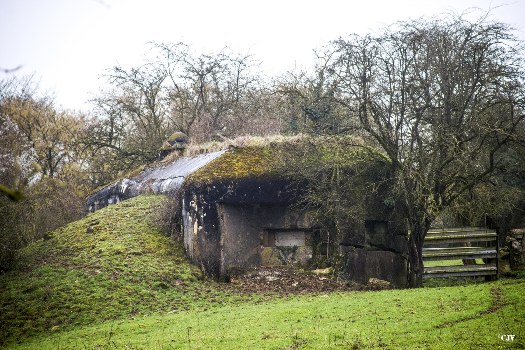 Ligne Maginot - B790 - CHANT DES OISEAUX - (Blockhaus pour canon) -  - Lia VERMEULEN