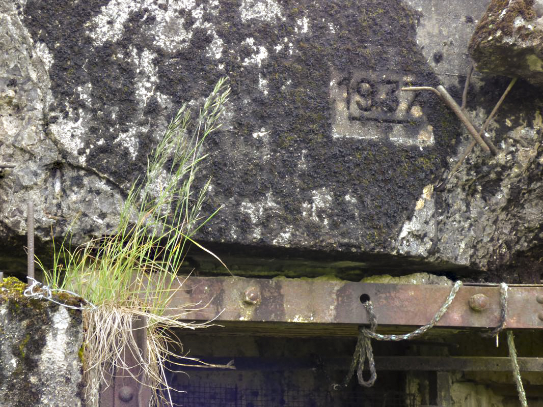 Ligne Maginot - B790 - CHANT DES OISEAUX - (Blockhaus pour canon) -  - JMBrams