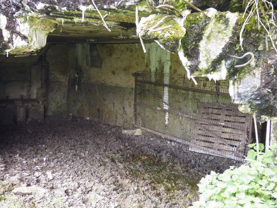 Ligne Maginot - B790 - CHANT DES OISEAUX - (Blockhaus pour canon) -  - JMBrams
