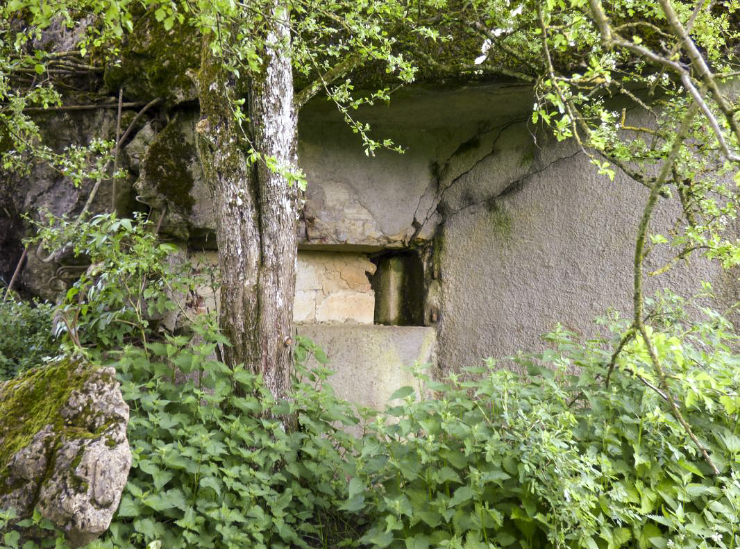 Ligne Maginot - B790 - CHANT DES OISEAUX - (Blockhaus pour canon) -  - JMBrams