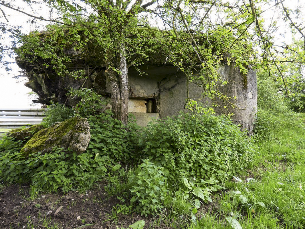Ligne Maginot - B790 - CHANT DES OISEAUX - (Blockhaus pour canon) -  - JMBrams