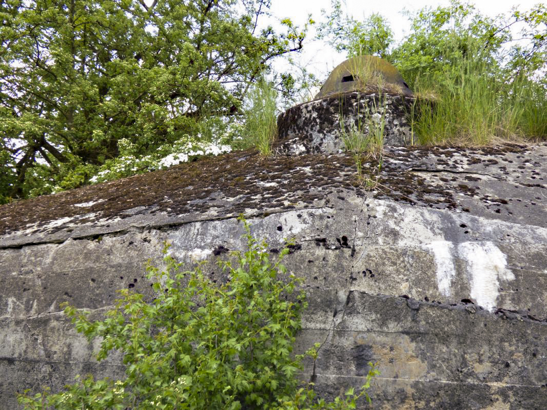 Ligne Maginot - B790 - CHANT DES OISEAUX - (Blockhaus pour canon) -  - JMBrams