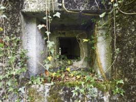 Ligne Maginot - B808 - BOIS DES AISEMENTS - (Blockhaus pour canon) - Couloir d'entrée
Embrasure FM latérale droite