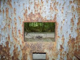 Ligne Maginot - B808 - BOIS DES AISEMENTS - (Blockhaus pour canon) - La chambre de tir
Côté flanquement gauche - Embrasure et son volet