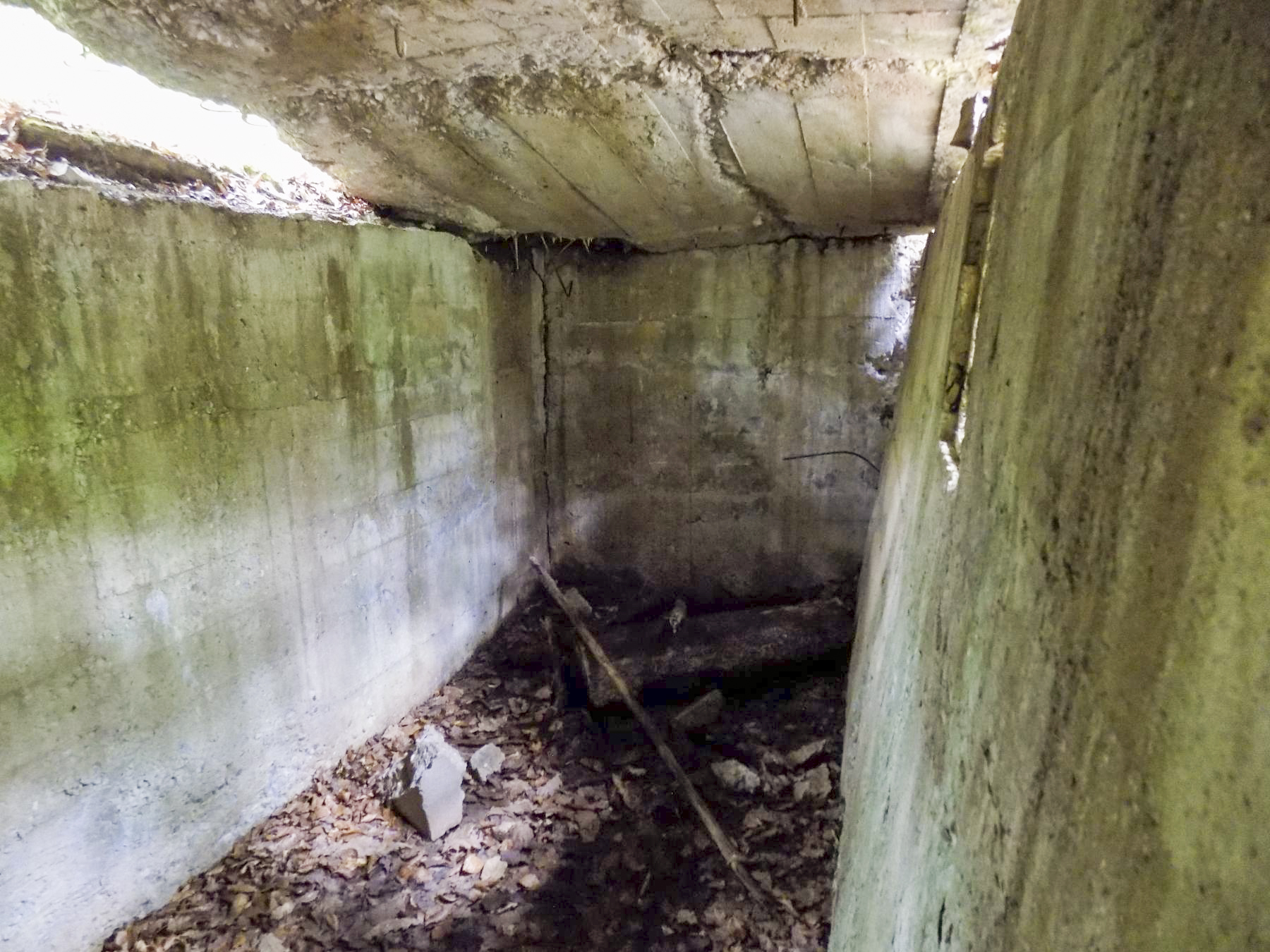 Ligne Maginot - WALDECKER HUBEL - (Position d'artillerie préparée) - Première alvéole
Intérieur - Luc Jacquemin