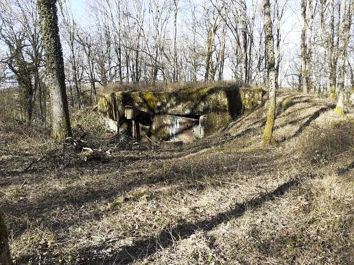 Ligne Maginot - BASSE PARTHE OUEST - C45 - (Casemate d'infanterie - Simple) - La casemate après débroussaillage - Erwan FICHET