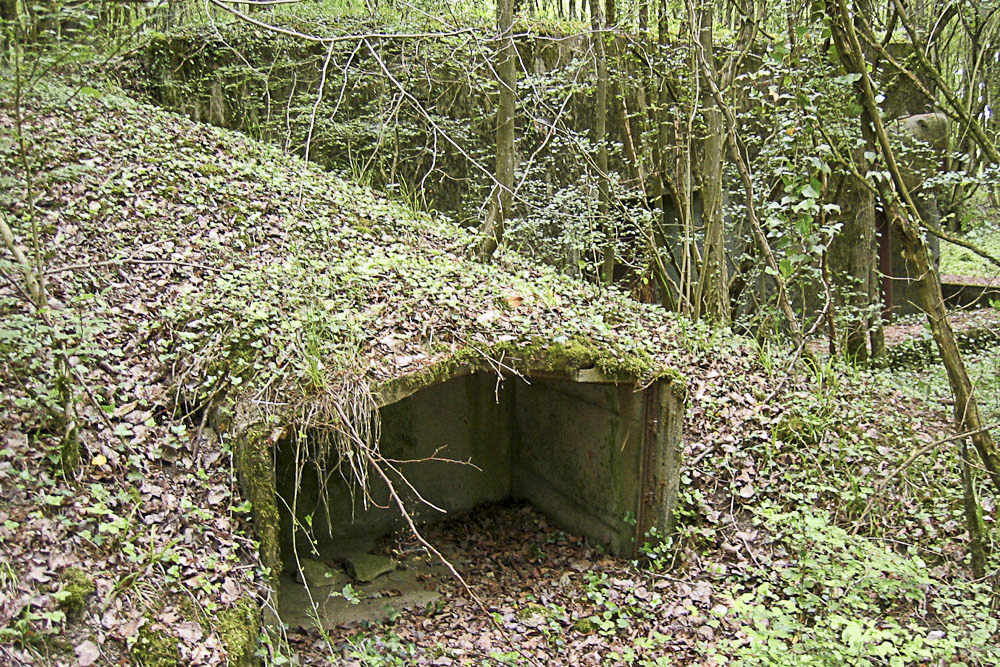 Ligne Maginot - BASSE PARTHE EST - C46 - (Casemate d'infanterie - Simple) - Niche de stockage à proximité de la casemate - Michel Teiten