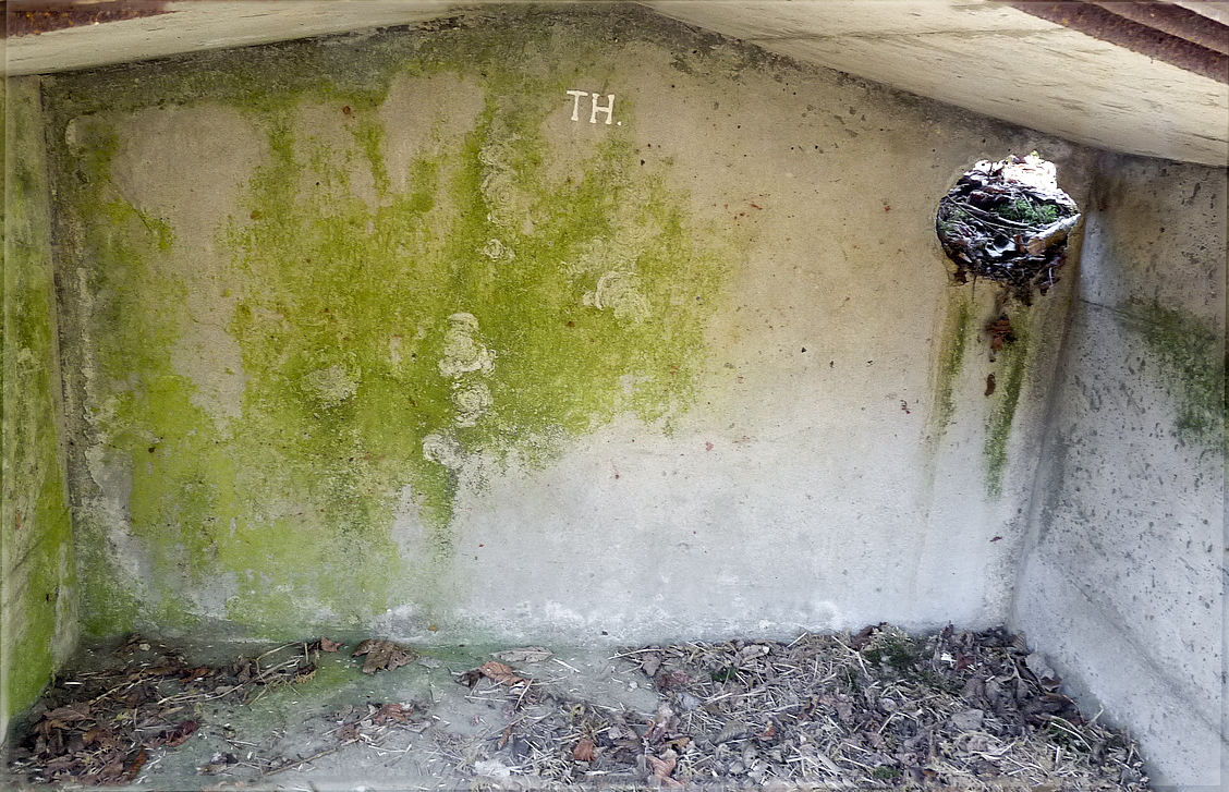 Ligne Maginot - BASSE PARTHE EST - C46 - (Casemate d'infanterie - Simple) - Intérieur de la niche - Sylvie Laure LAMBERT