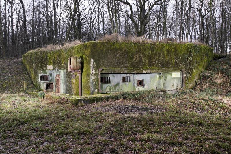 Ligne Maginot - BASSE PARTHE EST - C46 - (Casemate d'infanterie - Simple) - Vue générale de la casemate - www.arnaultjl-photo.com
