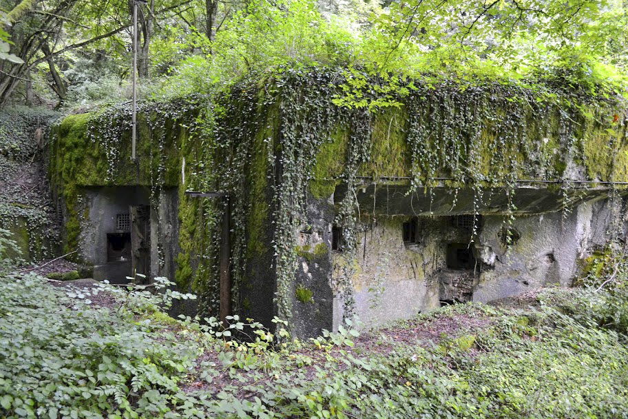 Ligne Maginot - BOUST - C44 - (Casemate d'infanterie - Simple) -  - PAVEL Jan