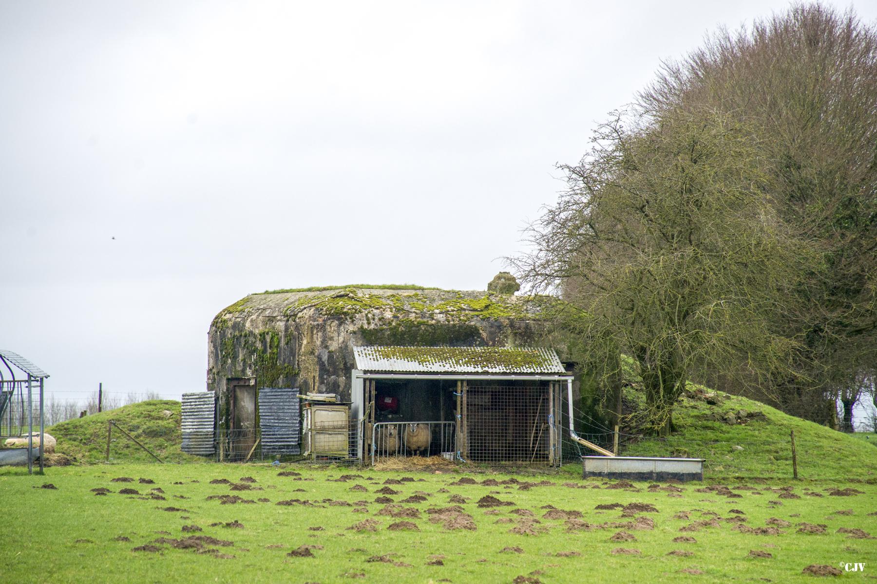 Ligne Maginot - B802 - LE PACHY - (Blockhaus pour canon) -  - Lia VERMEULEN