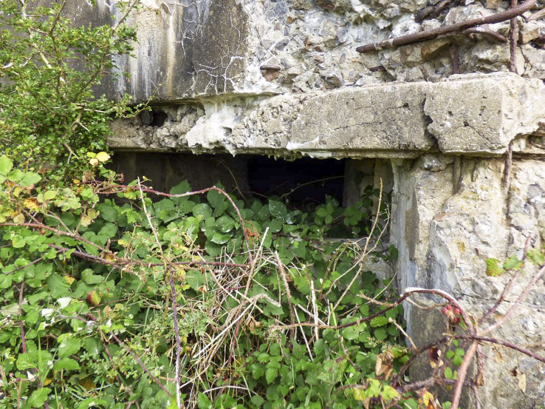 Ligne Maginot - B805 - TRIEUX DE BIEFONTAINE OUEST - (Observatoire d'infanterie) -  - JMBrams