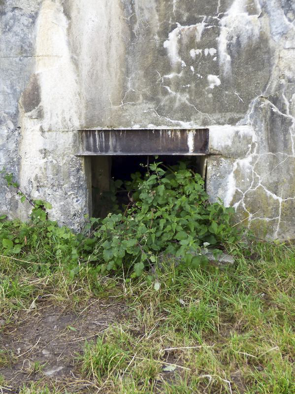 Ligne Maginot - B805 - TRIEUX DE BIEFONTAINE OUEST - (Observatoire d'infanterie) -  - JMBrams