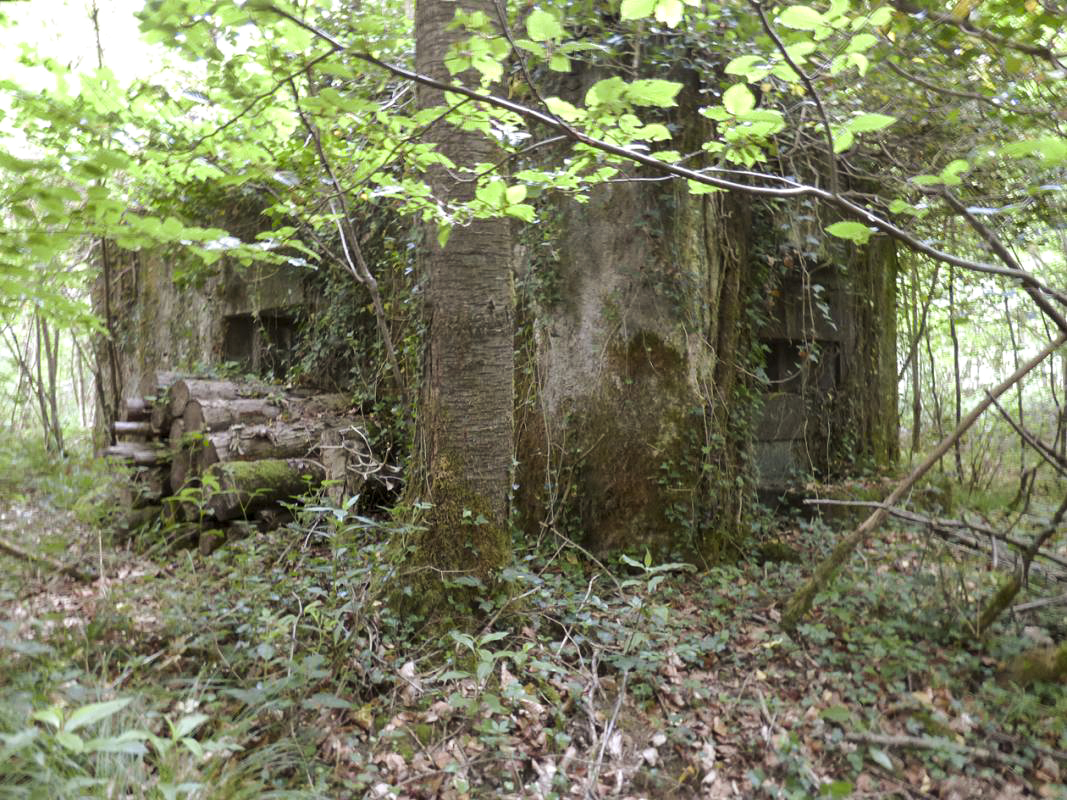 Ligne Maginot - B808 - BOIS DES AISEMENTS - (Blockhaus pour canon) - Le flanquement gauche et l'embrasure FM latérale gauche - JMBrams
