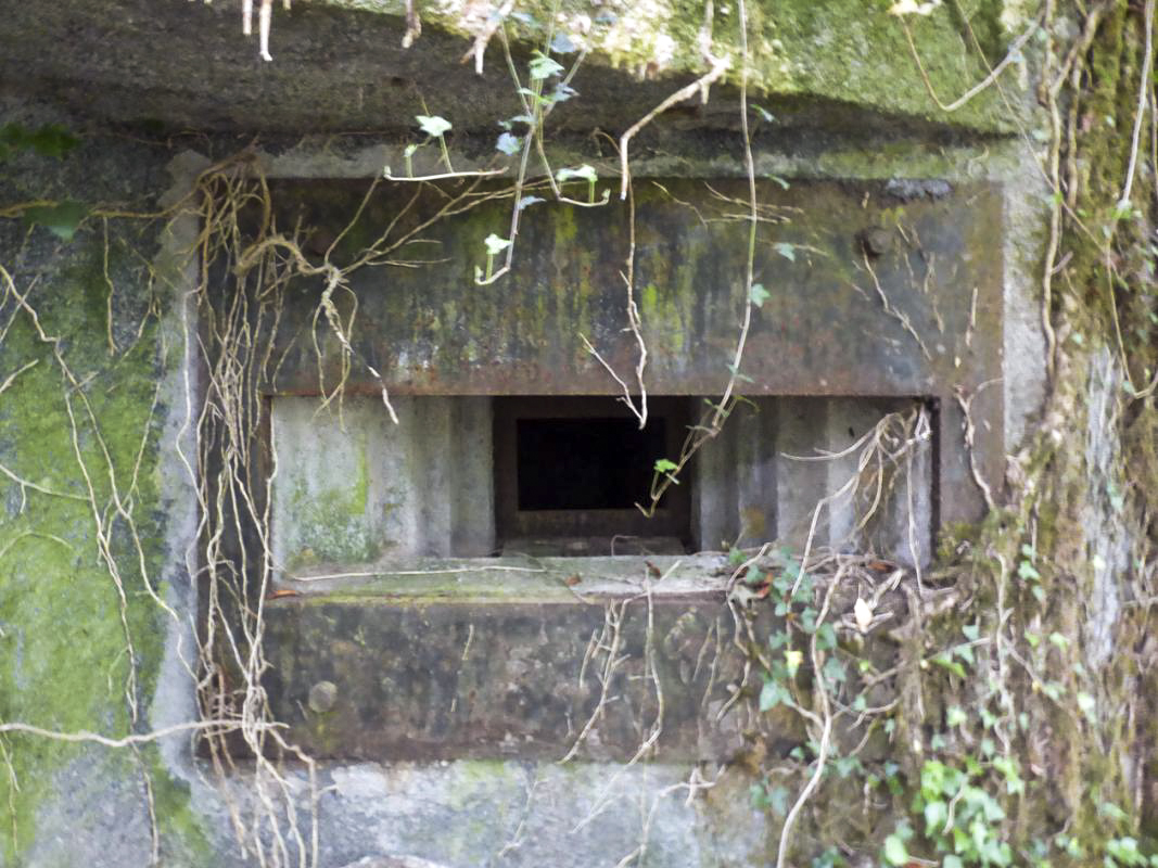 Ligne Maginot - B808 - BOIS DES AISEMENTS - (Blockhaus pour canon) - Le flanquement gauche et son embrasure - JMBrams