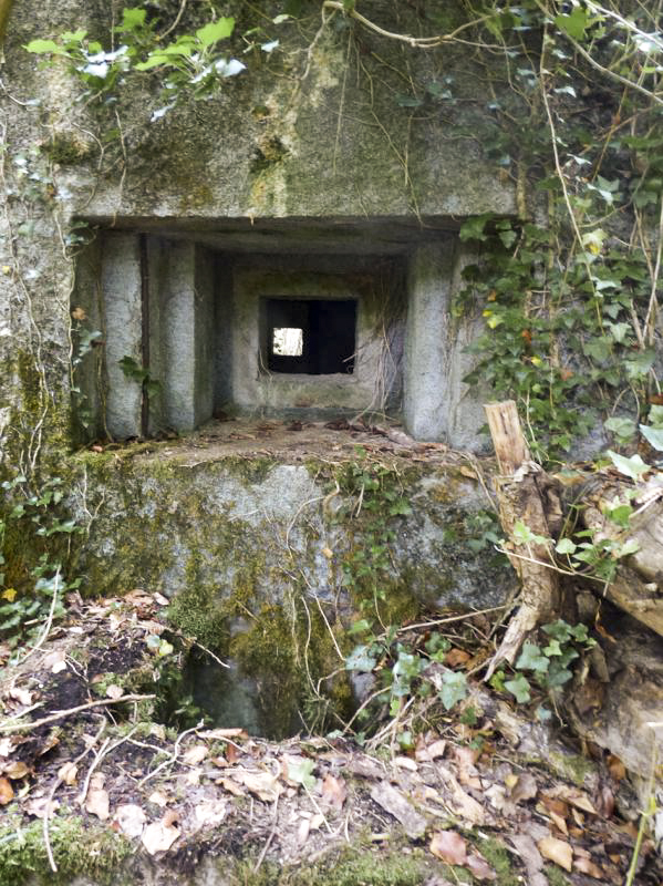 Ligne Maginot - B808 - BOIS DES AISEMENTS - (Blockhaus pour canon) - L'embrasure FM située entre les flanquements - JMBrams