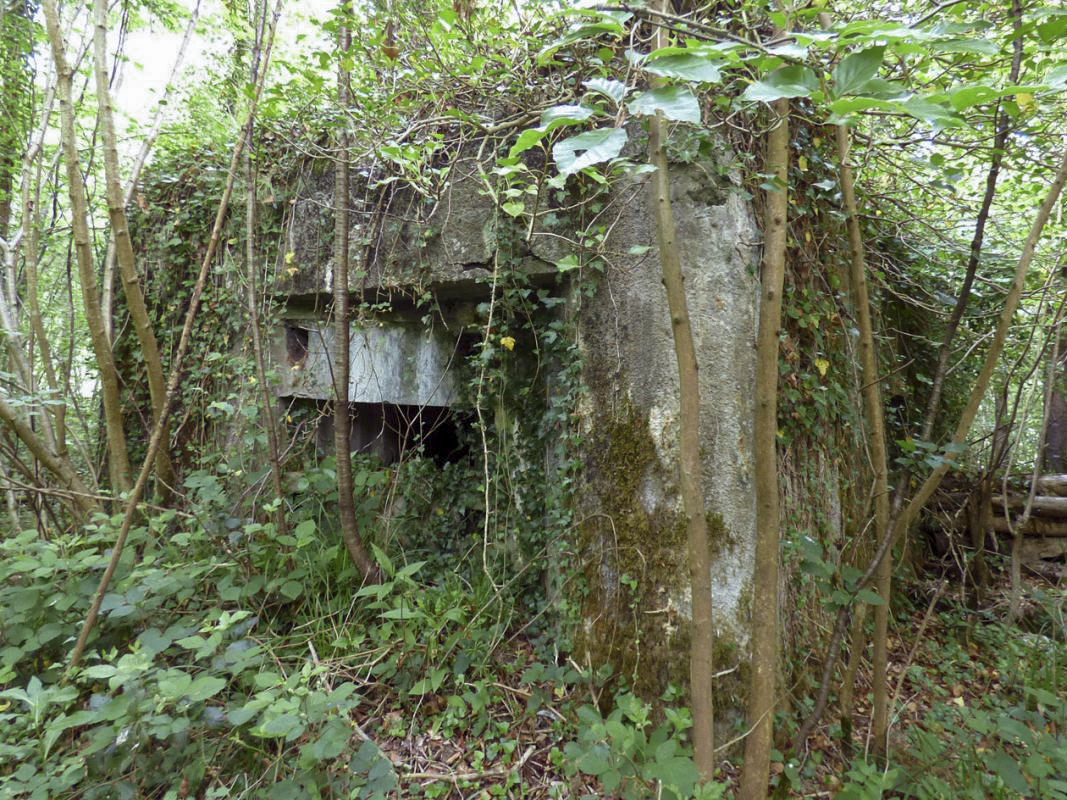 Ligne Maginot - B808 - BOIS DES AISEMENTS - (Blockhaus pour canon) - Le flanquement droit - JMBrams