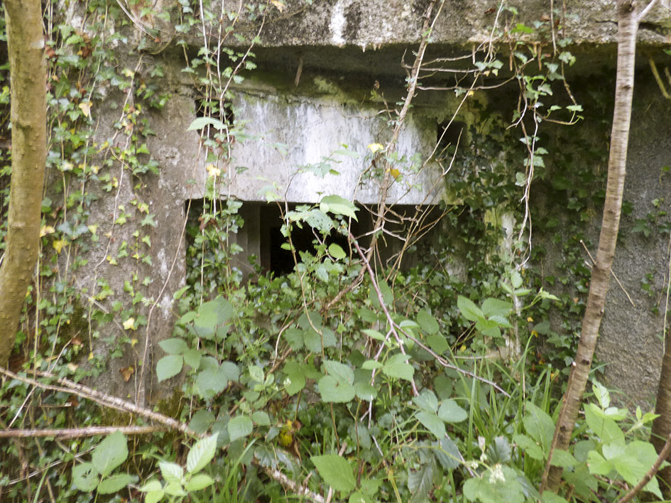 Ligne Maginot - B808 - BOIS DES AISEMENTS - (Blockhaus pour canon) - Embrasure du flanquement droit - JMBrams