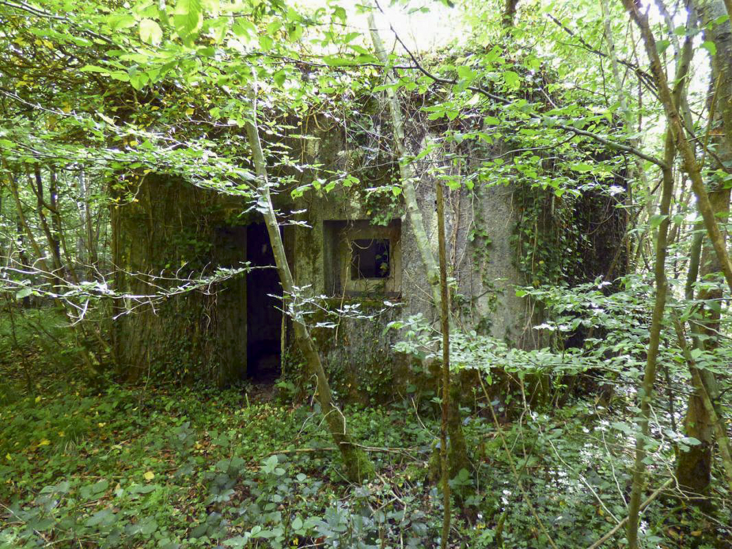 Ligne Maginot - B808 - BOIS DES AISEMENTS - (Blockhaus pour canon) - Le blockhaus - JMBrams
