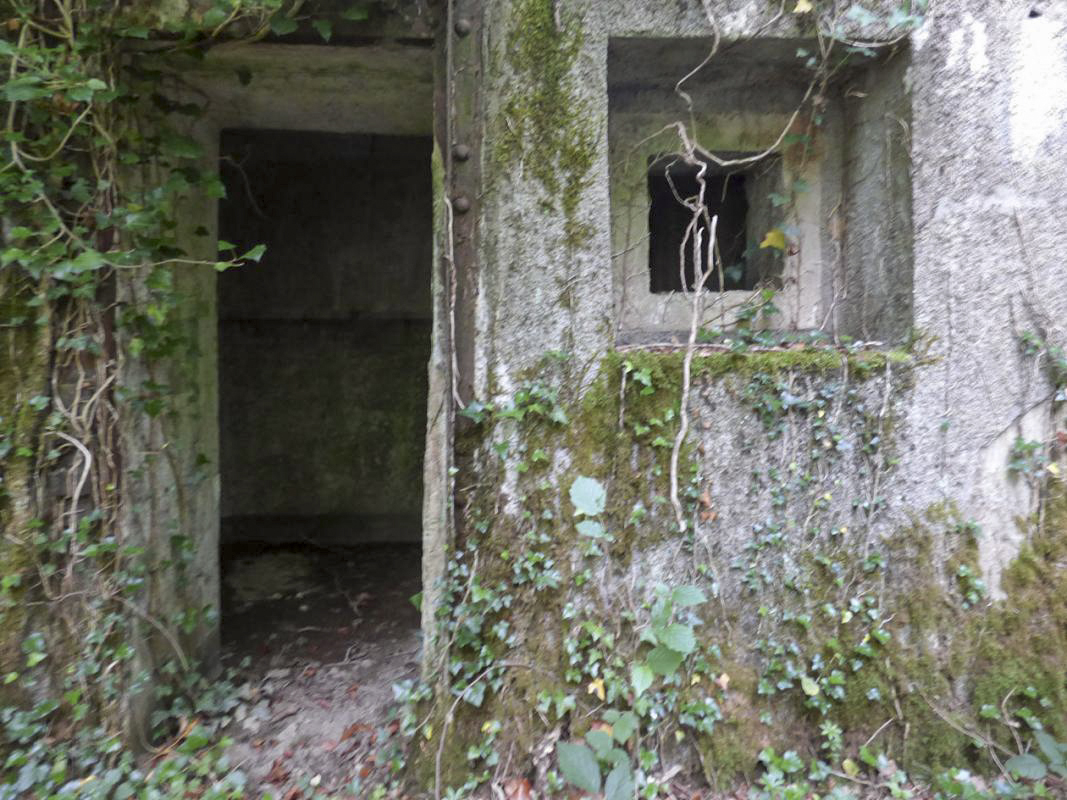 Ligne Maginot - B808 - BOIS DES AISEMENTS - (Blockhaus pour canon) - L'entrée et son embrasure FM de défense - JMBrams
