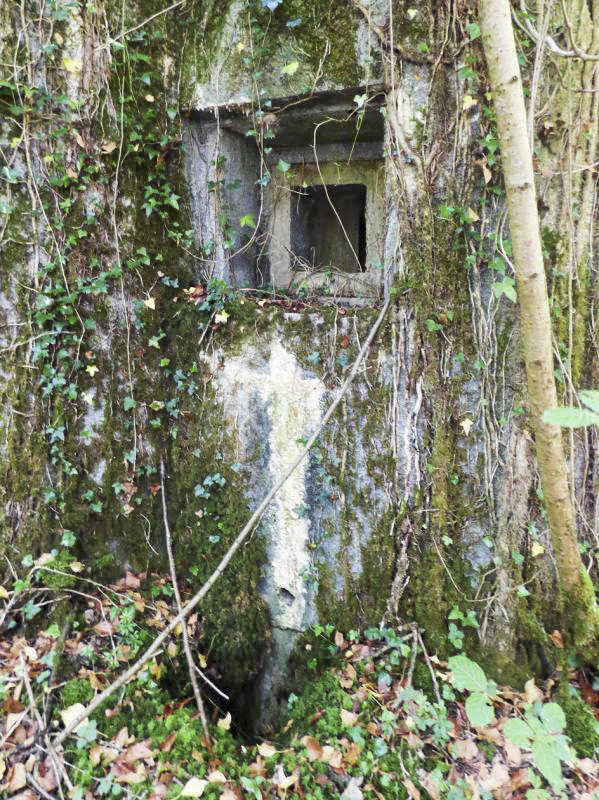 Ligne Maginot - B808 - BOIS DES AISEMENTS - (Blockhaus pour canon) - L'embrasure FM latérale gauche (entrée) - JMBrams