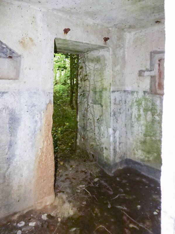 Ligne Maginot - B808 - BOIS DES AISEMENTS - (Blockhaus pour canon) - L'entrée vue de l'intérieur - JMBrams